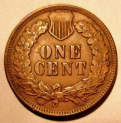 1 Cent 1901    United States Of America    Reverse