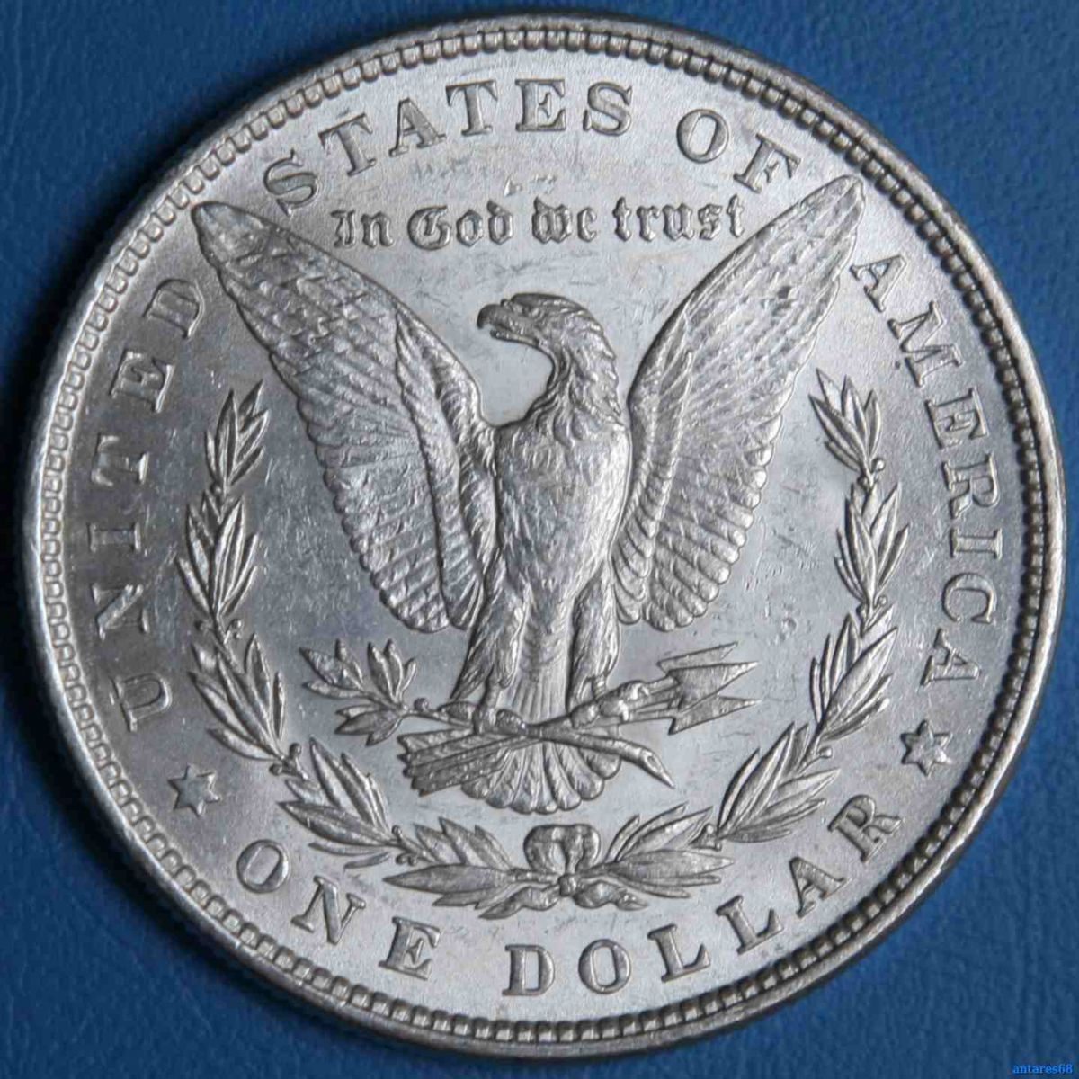 Dollaro Morgan