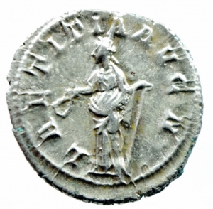303R.jpg