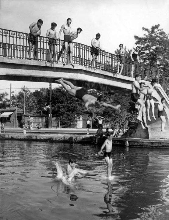 naviglio tuffi