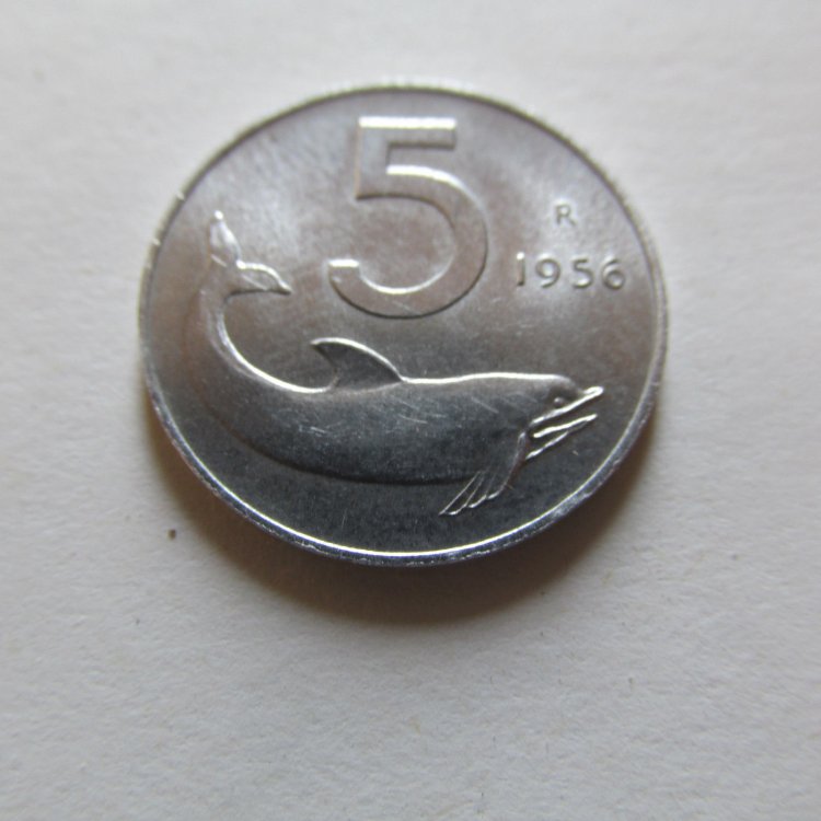 s-l1600.jpg