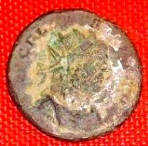 post-12069-1232106001_thumb.jpg