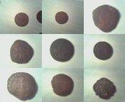post-33679-0-95995600-1359037334_thumb.j