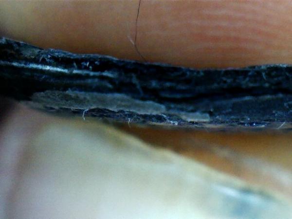 post-40771-0-61001900-1453967246_thumb.j