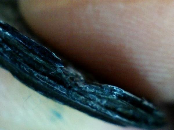 post-40771-0-70419100-1453967218_thumb.j