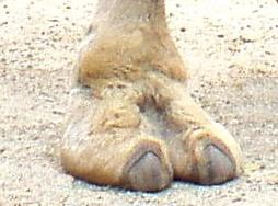 post-7915-1436612963,3_thumb.jpg