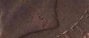 post-21354-0-36432500-1313579329_thumb.j