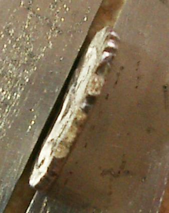 post-30796-0-49079700-1346357739_thumb.j