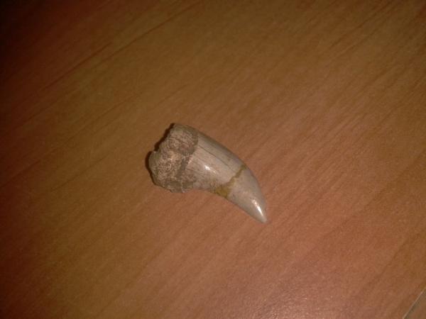 post-36322-0-48690900-1377895199_thumb.j