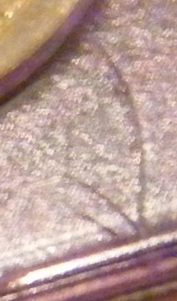 post-7875-1226697408_thumb.jpg