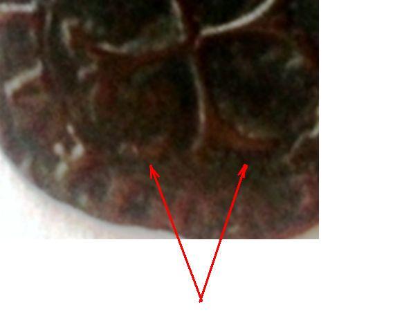 post-9800-0-92175000-1416160870_thumb.jp