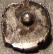 post-11590-1261860396,62_thumb.jpg