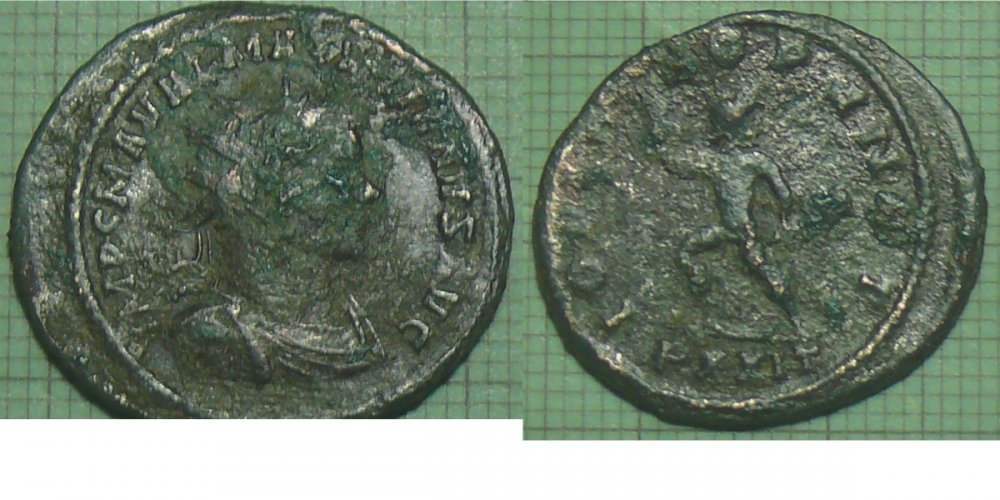 maximianus.jpg