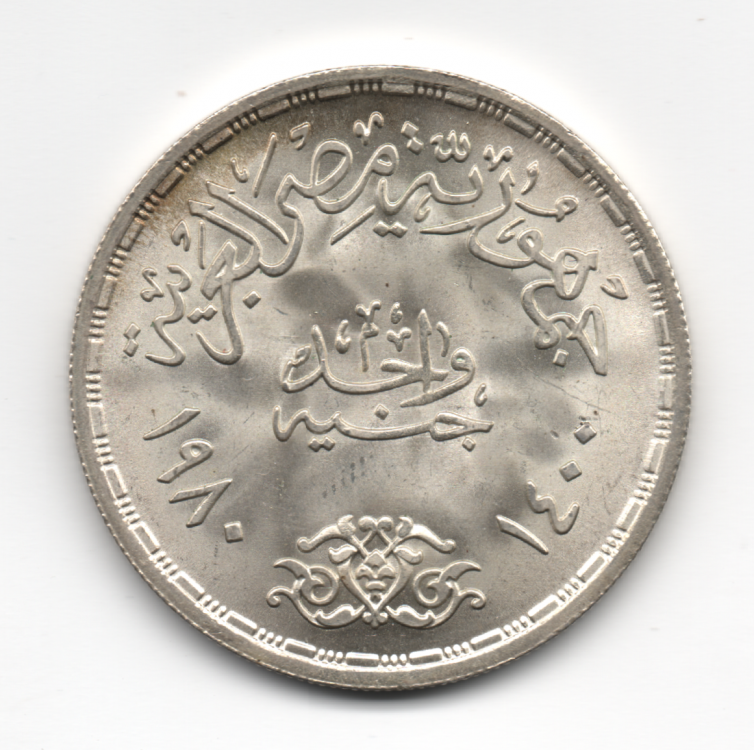 1 Pound  1980 Egitto F.A.O. Arg.720-14,80g-Diam. 15mm (2).png