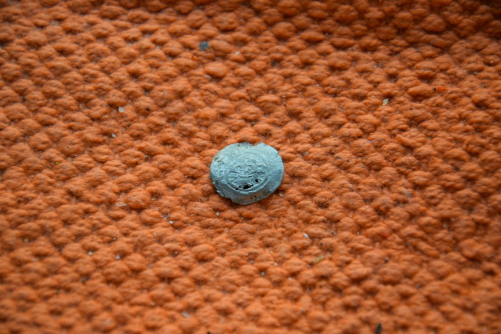 DSC_0116.JPG