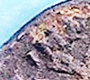 Particolare IMP.jpg