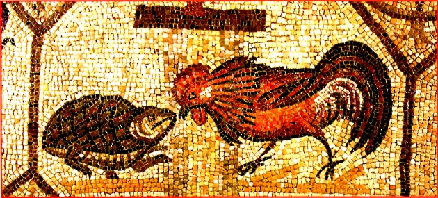Aquileia mosaico gallo e tartaruga IV dC.jpg