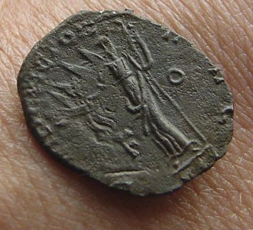 carausius 3 r.JPG