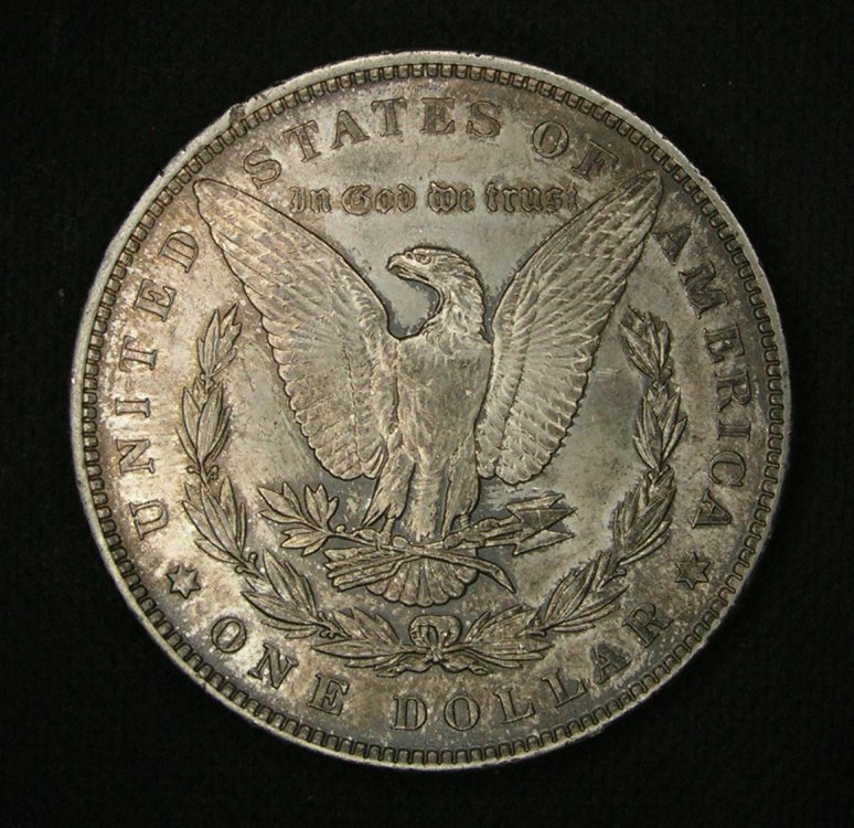 $ Morgan 1889 Dr.JPG