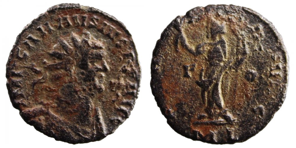 carausius2.jpg