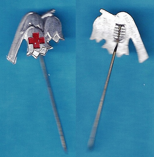 4.Spilla CRI.jpg