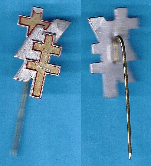 8.Spilla CRI.jpg
