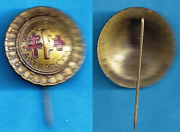 6.Spilla CRI.jpg