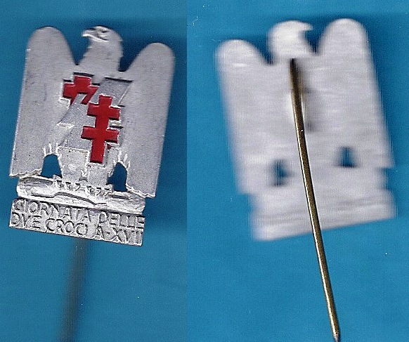 7.Spilla CRI.jpg