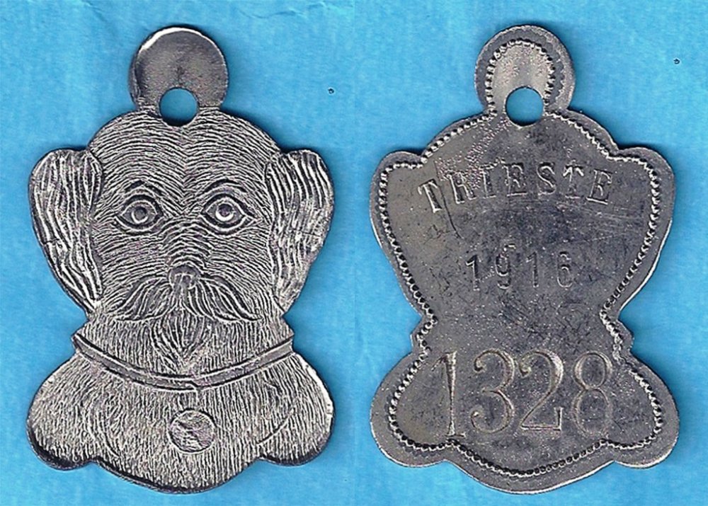 2.Medaglietta cane 1916 n. 1328 Verona 2016.jpg