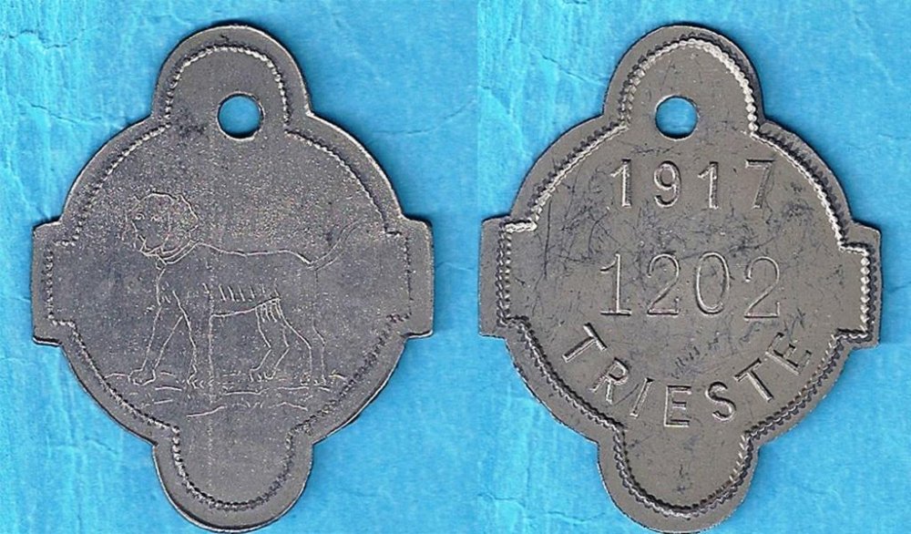 4.Medaglietta cane 1917 n. 1202 Verona 2016.jpg