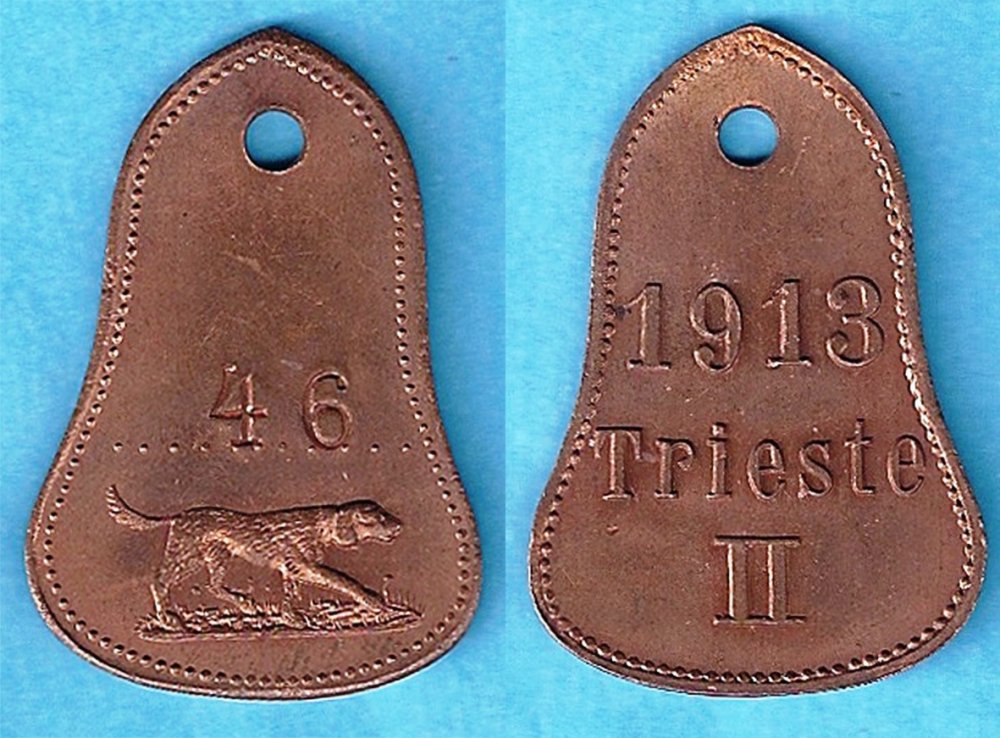 5.Medaglietta cane 1913 n. 46 Verona 2016.jpg