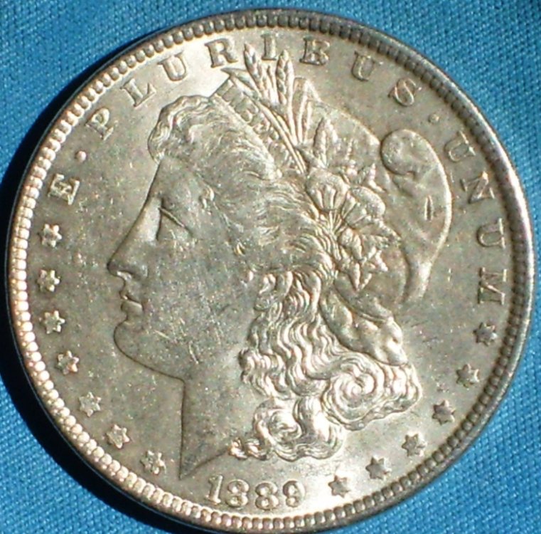 dollaro 1889 d.JPG