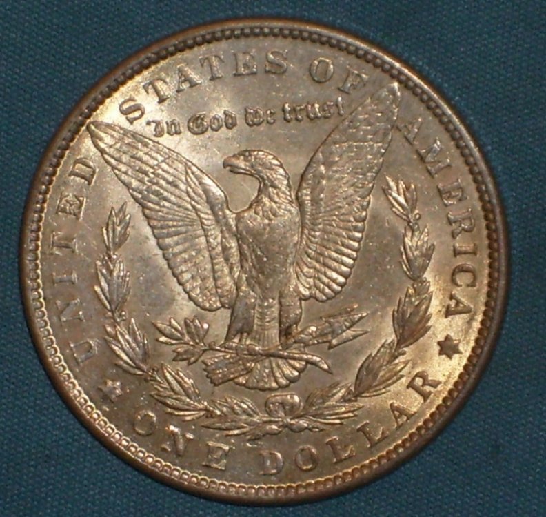 dollaro 1889 r1.JPG