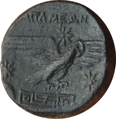 100-50 a.c Apamea (Anatolia centrale) R.jpg