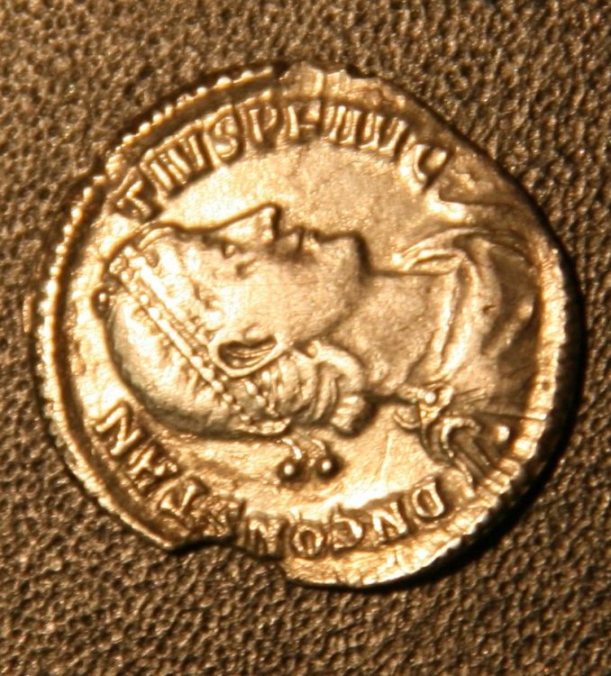 Dritto22.jpg