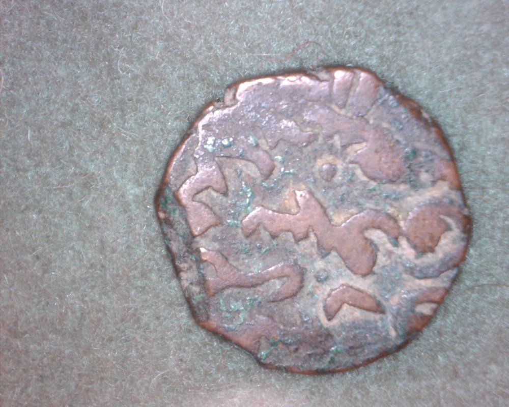 Image6.jpg