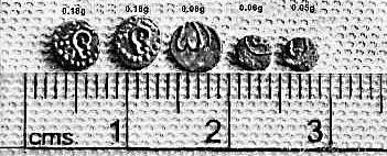 2004080205820401.jpg