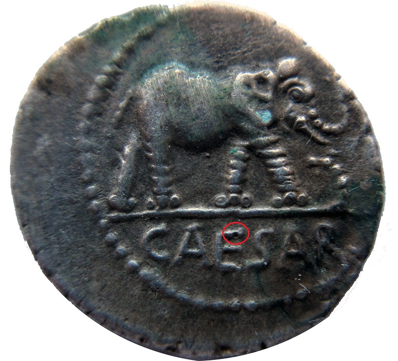 Cesare_Dp.jpg.66fd8e04b014214f99866fcb2ca44237[1].jpg