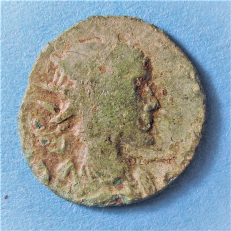 dritto_01.jpg