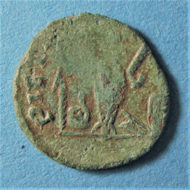 dritto_02.jpg