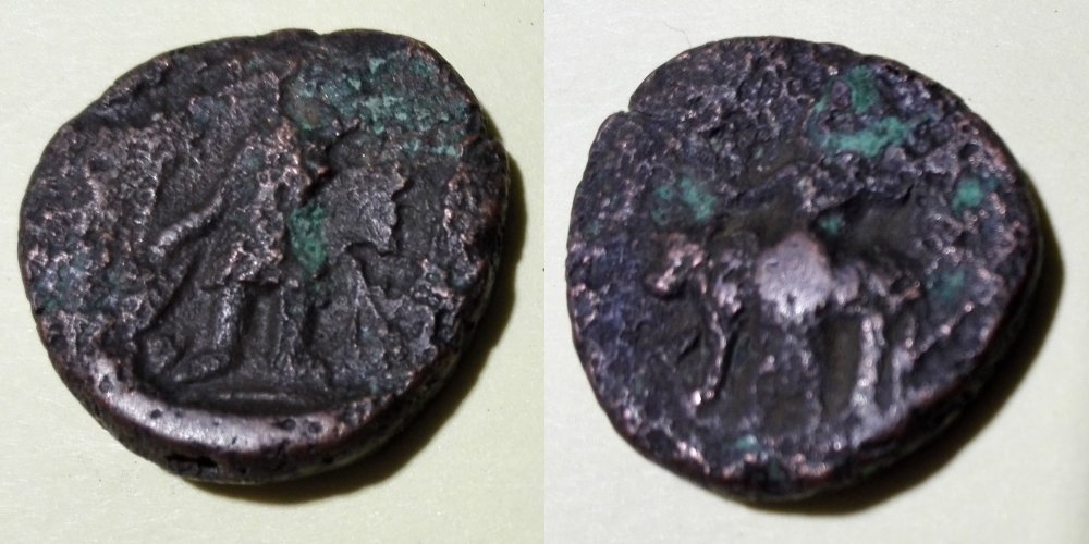 sconosciuta.jpg