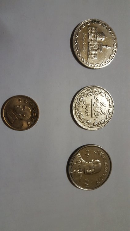 1485972538014-2054702599.jpg