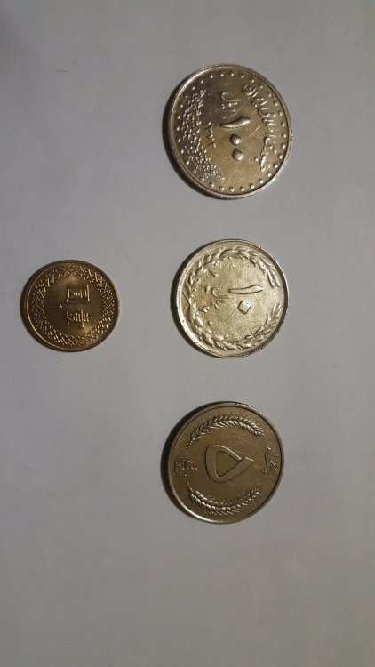 1485972605030-1454989388.jpg