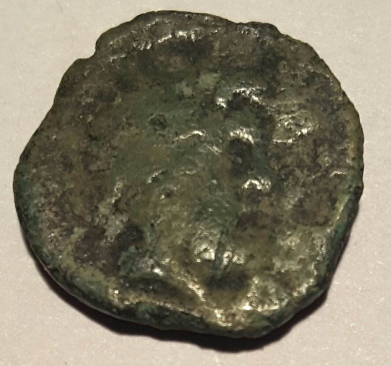 20170216_190409.jpg