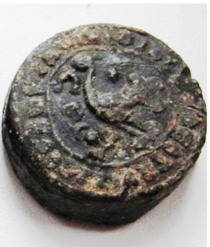 58a4605bad8e0_TeriacaStruzzodoro.jpg.dfeb2f51c1289685dbf9624f783c53cc.jpg