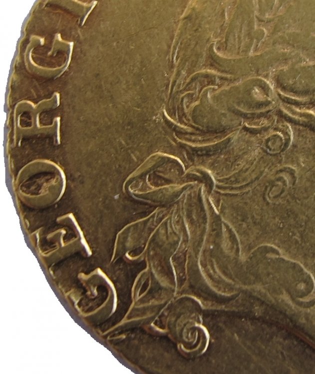 58aef8a60316c_Guinea1788-D-Copia.thumb.jpg.a06afa64e4710505be9ce27f4aeeddc2.jpg