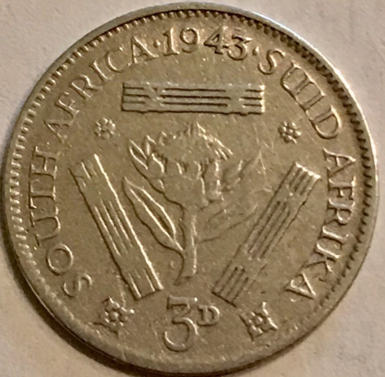 IMG_0167.PNG