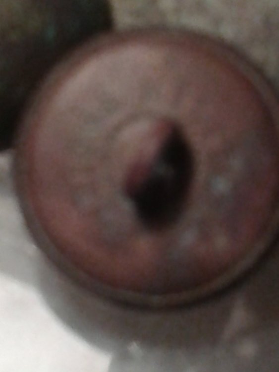 20170313_095018.jpg