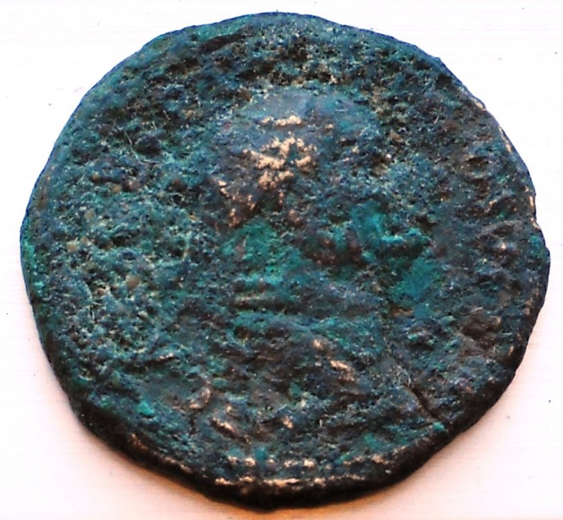 DSCN2641.jpg