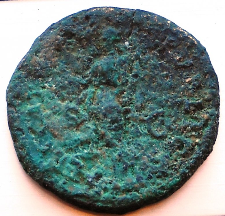 DSCN2642.jpg